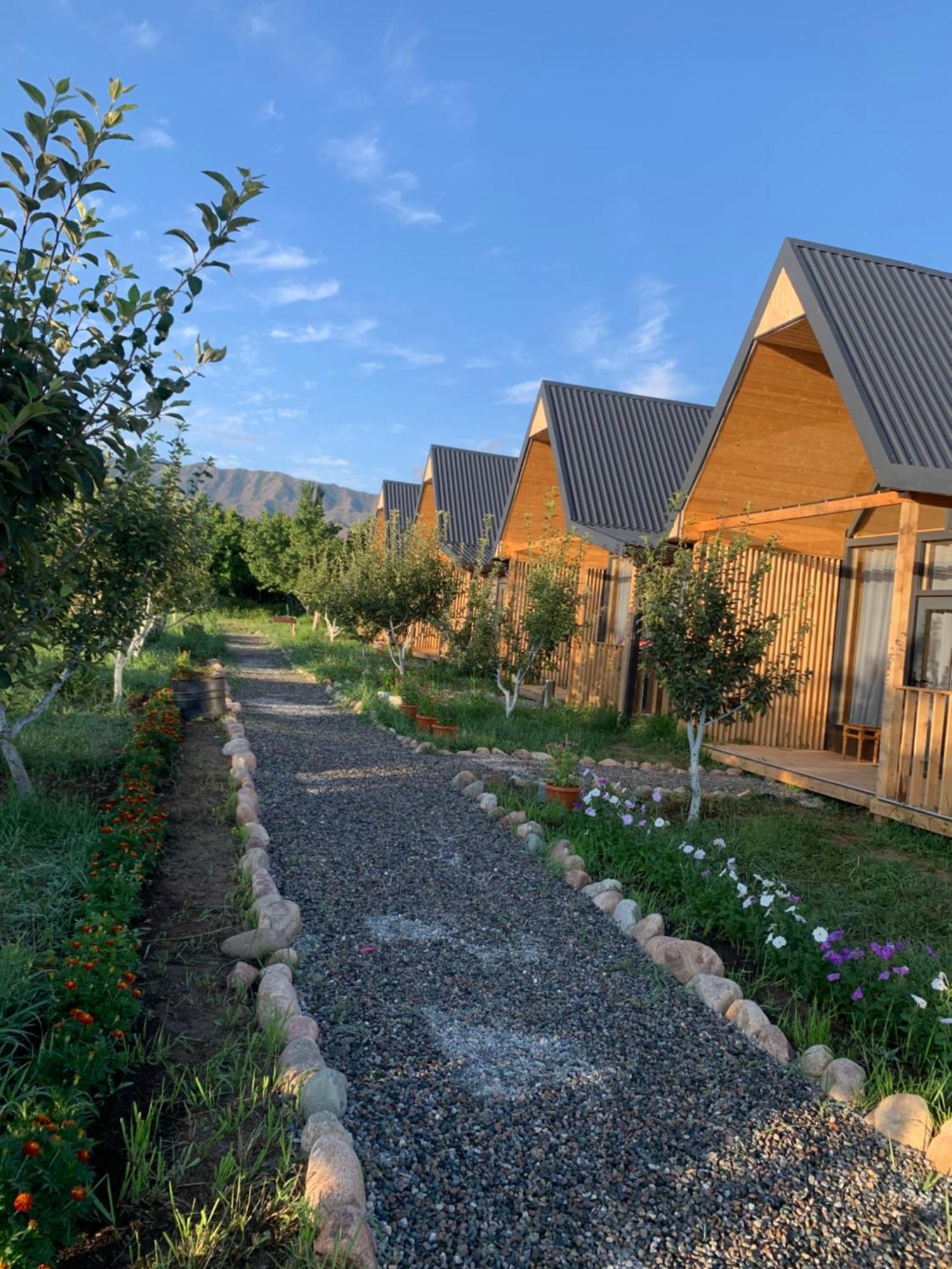 Coral Houses Tossor Екстер'єр фото