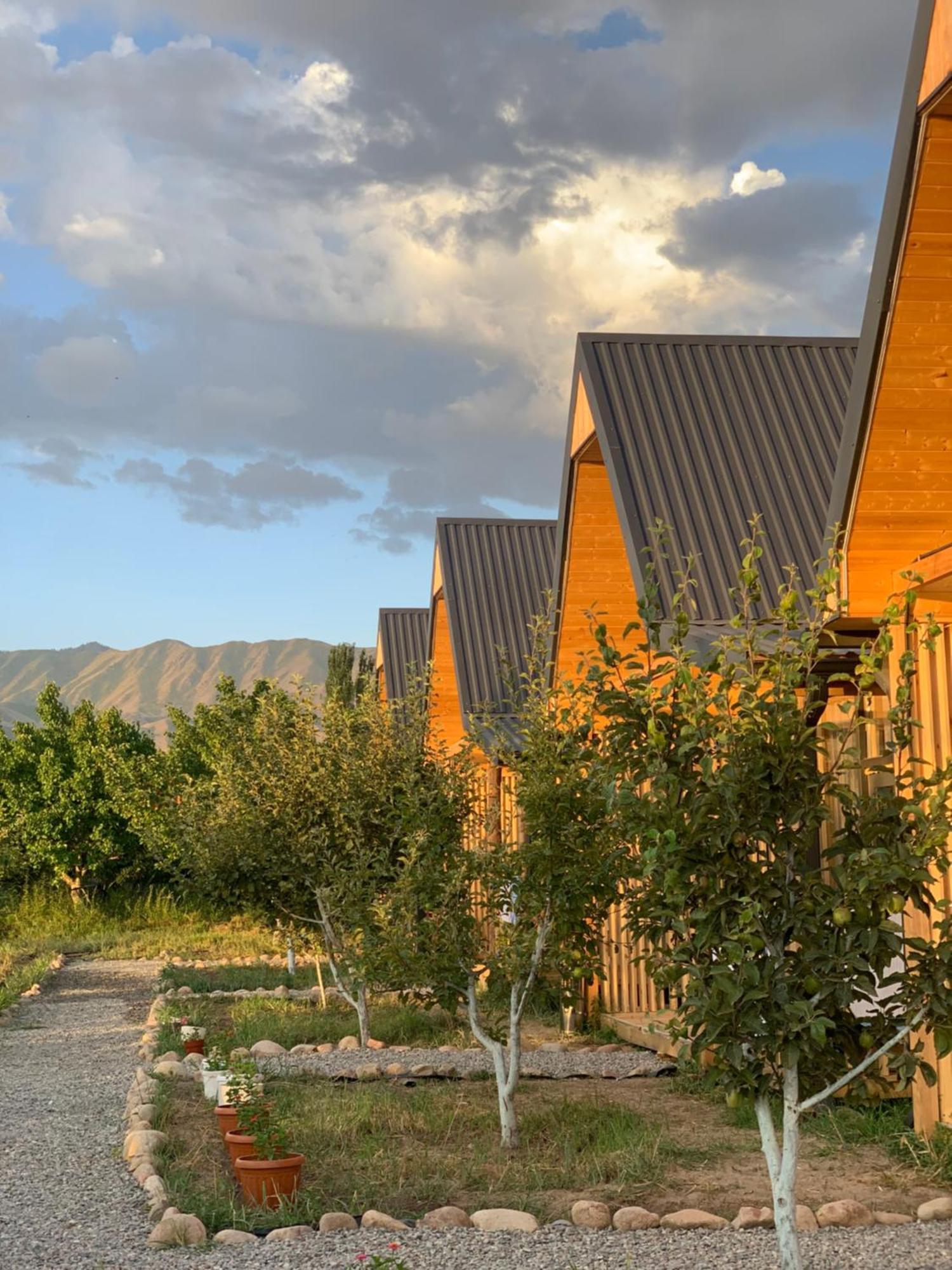 Coral Houses Tossor Екстер'єр фото