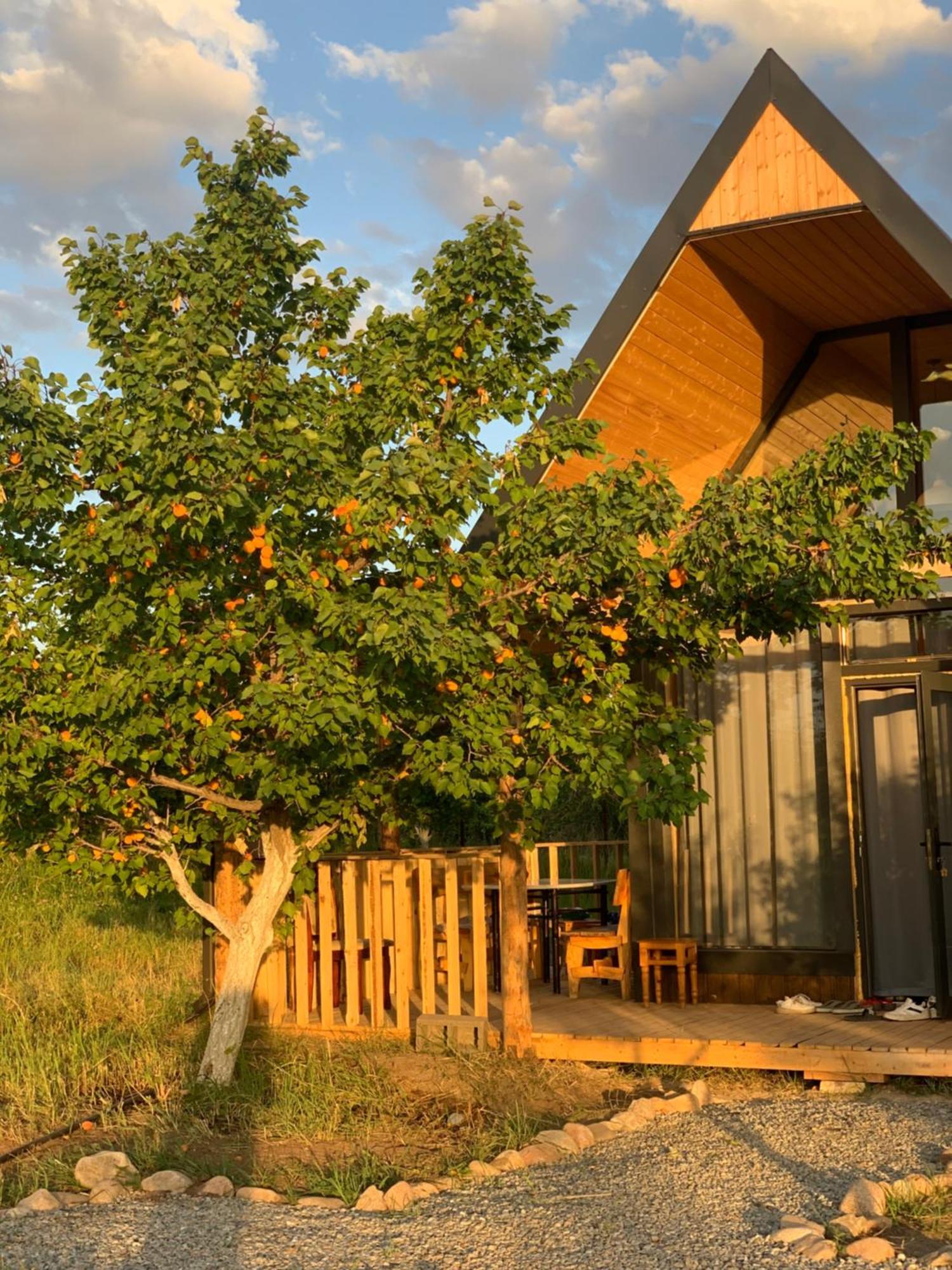 Coral Houses Tossor Екстер'єр фото